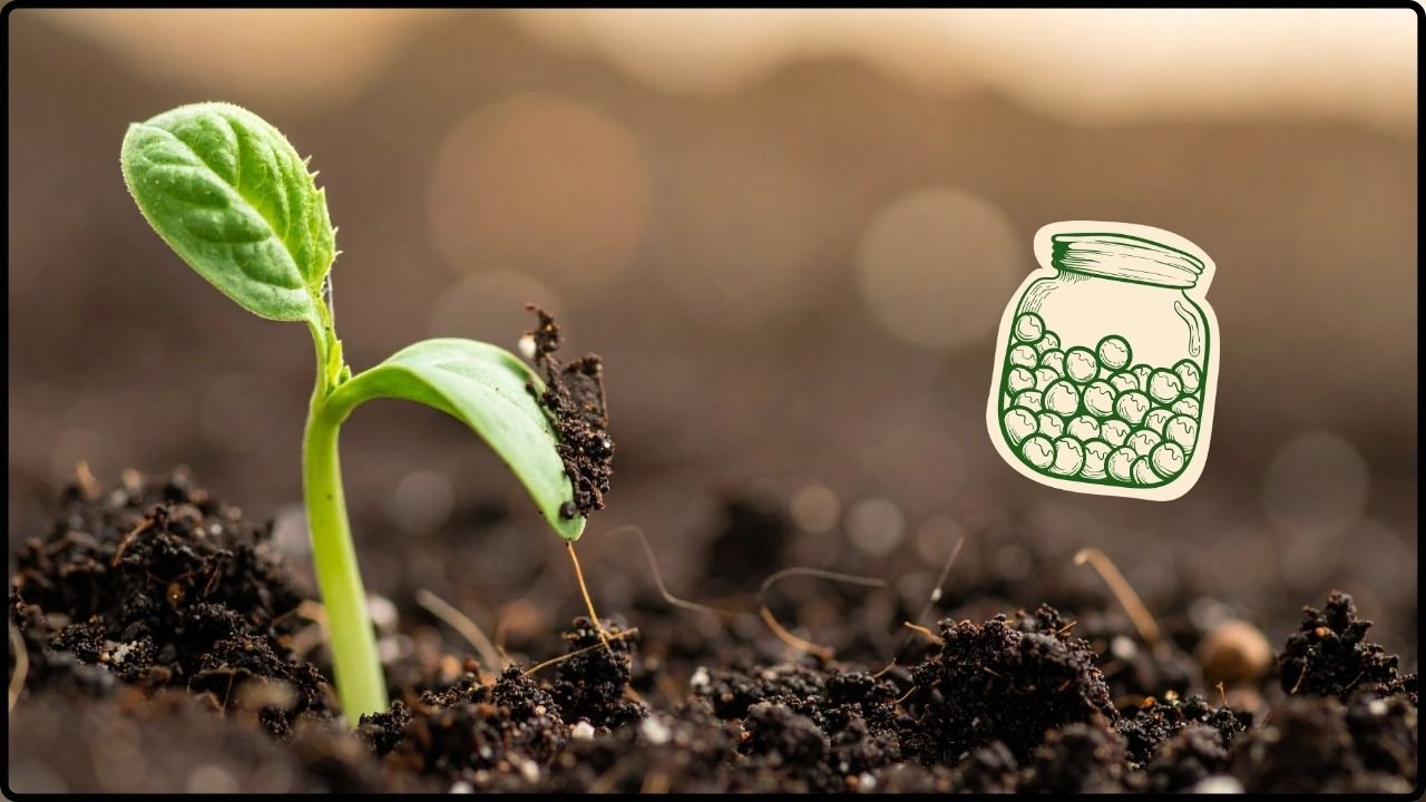 Ancient Seeds From Permafrost Successfully Sprout After 32,000 Years