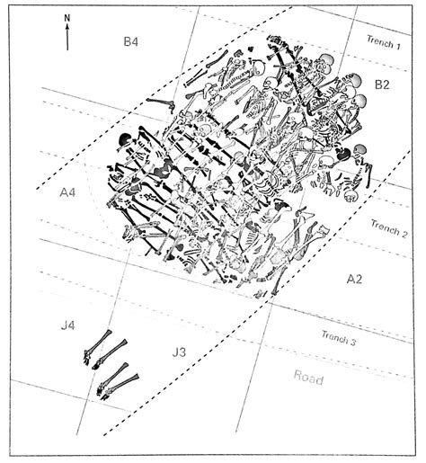 Archaeological Burial Diagram