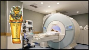 CT Scans of Egyptian Mummies