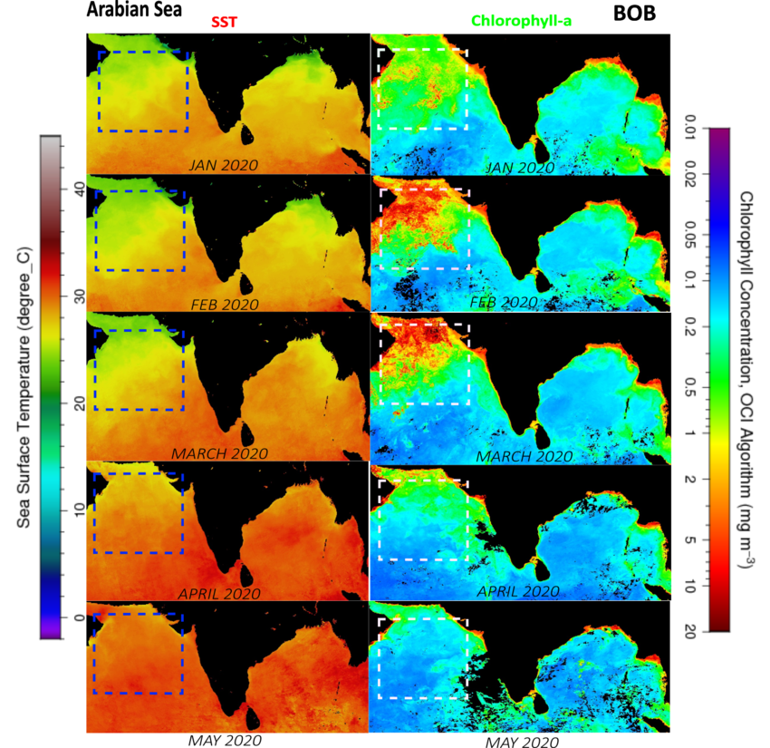 Comparative Ocean Temperature and Chlorophyll Chart
