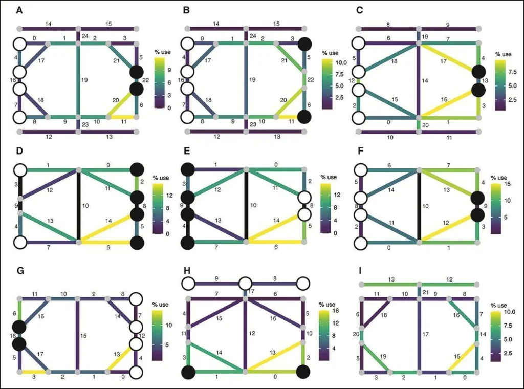 Diagram comparing simulated piece movement paths to wear marks on Roman board game surface