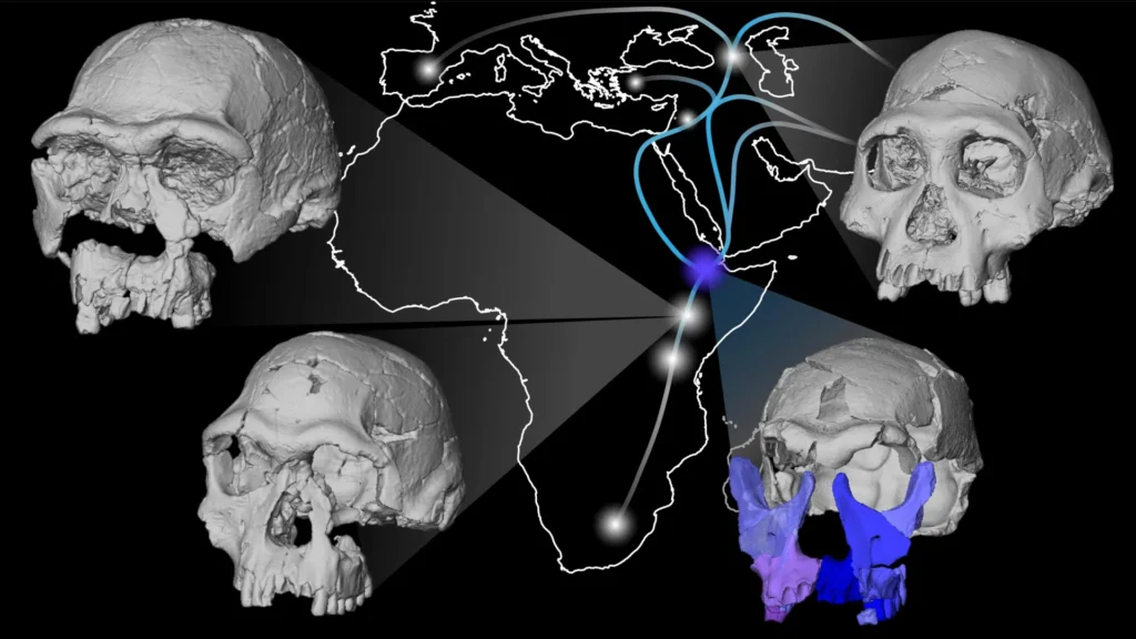 Early Human Ancestors May Have Had an Unexpected Appearance