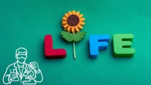 Life Discovered Thriving in a Place