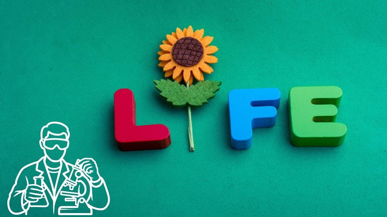 Scientists Stunned: Life Discovered Thriving in a Place Once Deemed Completely Impossible