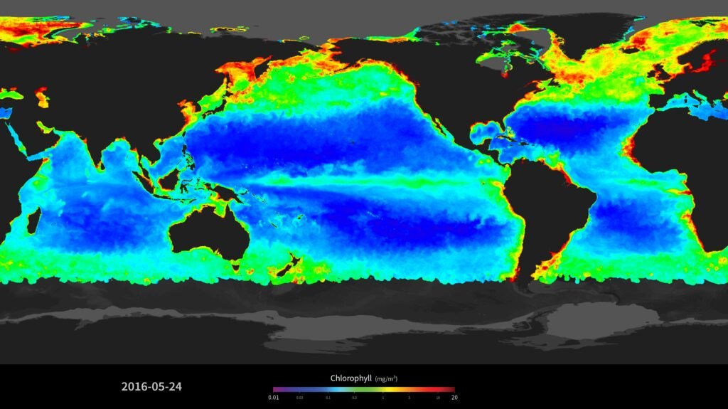MODIS Global Chlorophyll Concentration