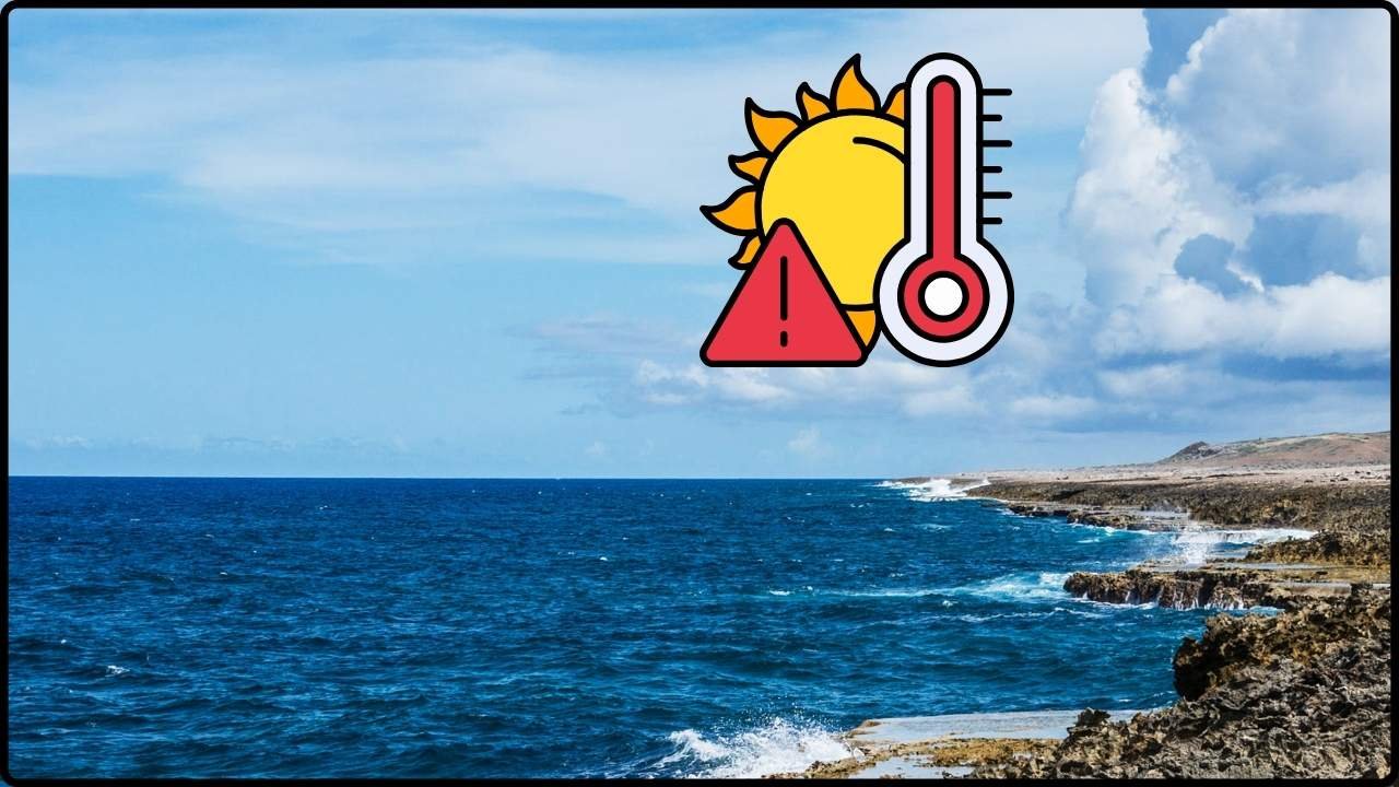 Oceans Set Another Heat Record for the Eighth Straight Year