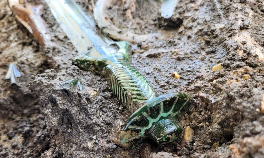 Perfect Bronze Age Sword Discovery