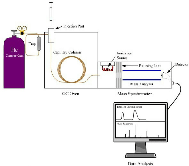 Schematic of GC‑MS workflow