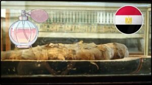 Scientists Recreate the Scents Used in Ancient Egyptian Mummification