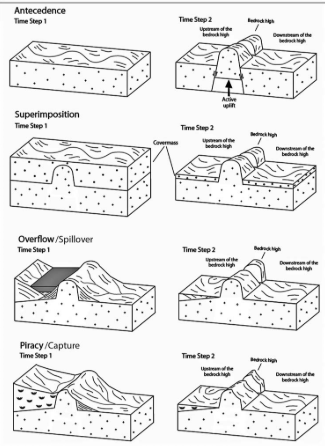 Timeline & Formation Diagrams