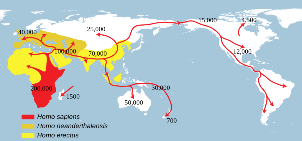 Study Suggests Two Early Human Species Migrated Out of Africa Together 2 Dmanisi Site