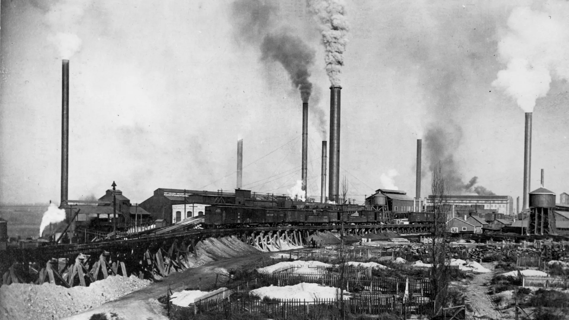 A Century of Hair Samples Just Proved the Leaded Gas Ban Changed Humanity Forever