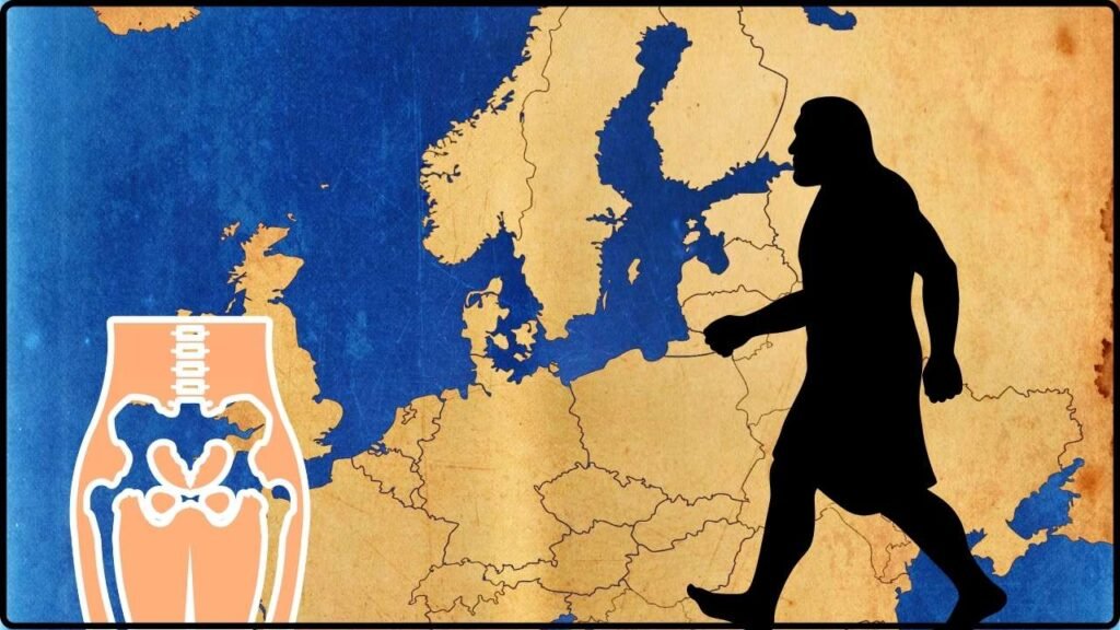 A 7.2-Million-Year-Old Femur Fuels Debate Over Early Human Origins in Europe