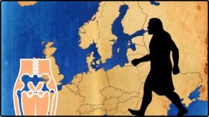 A 7.2-Million-Year-Old Femur Fuels Debate Over Early Human Origins in Europe