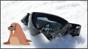 Ancient Arctic Snow Goggles Carved From Walrus Tusk Reveal 1,000-Year-Old Innovation