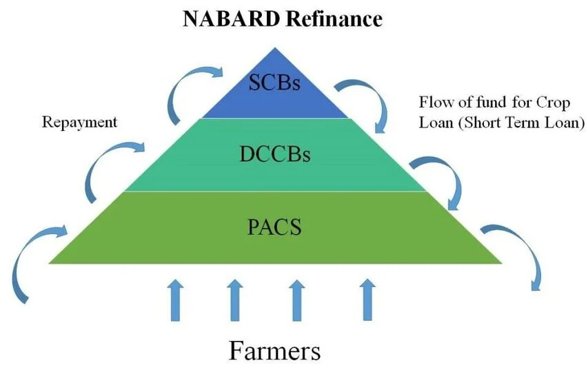 Cooperative Banking Three-Tier Structure