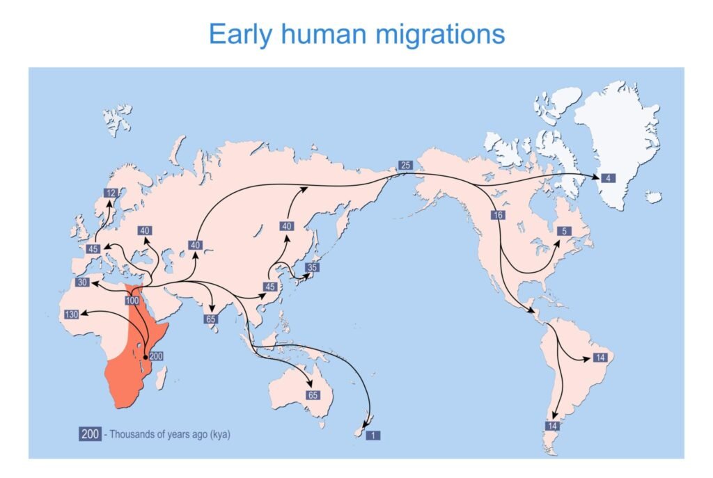 Global Human Migration Map (Out-of-Africa Routes)