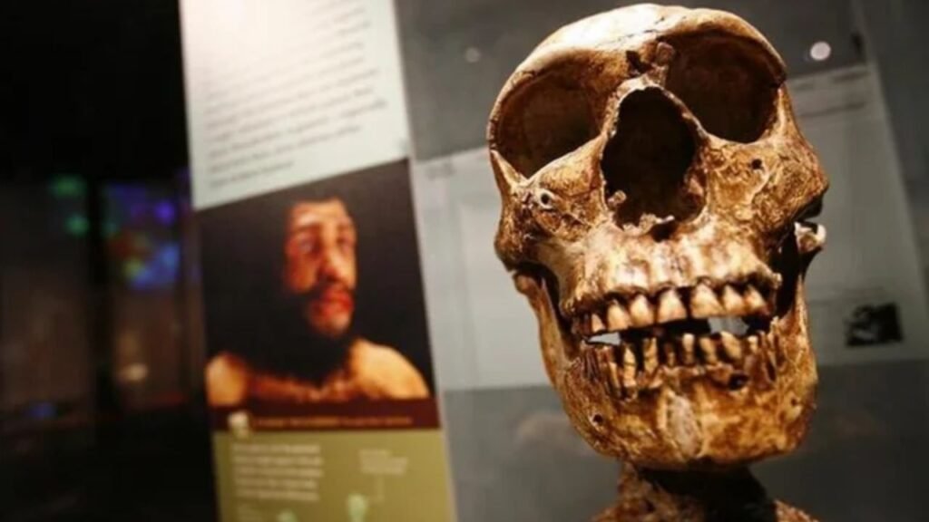 Skull Discovery Is Challenging the Traditional Out of Africa Theory