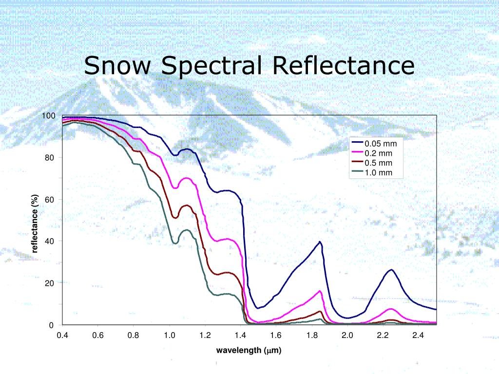 Ancient Arctic Snow Goggles Carved From Walrus Tusk Reveal 1,000-Year-Old Innovation 2 Snow Spectral Reflectance Graphs