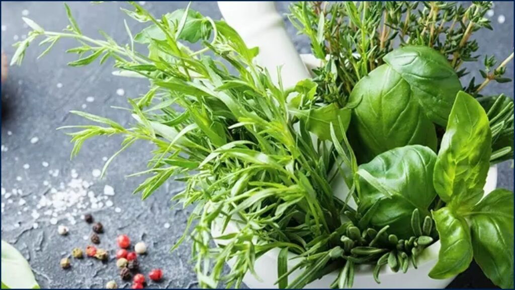 Little-Known Herb Packed With Calcium