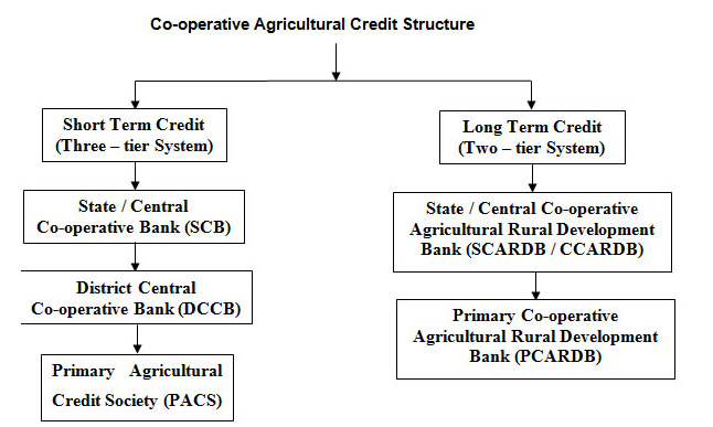 Three-Tier Cooperative Banking Structure Diagram
