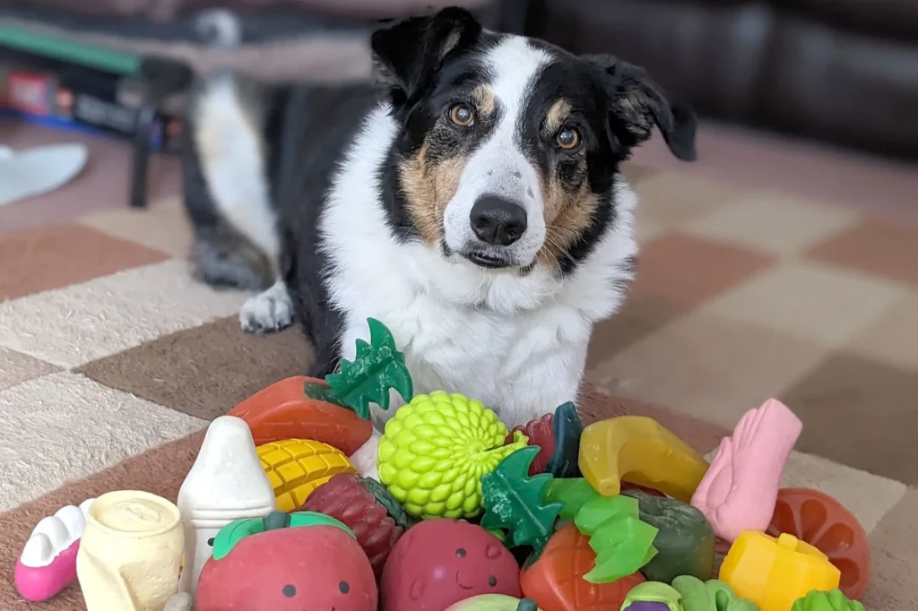 Dogs Quietly Learn Words Just by Listening at Home