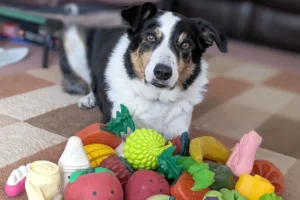 Dogs Quietly Learn Words Just by Listening at Home