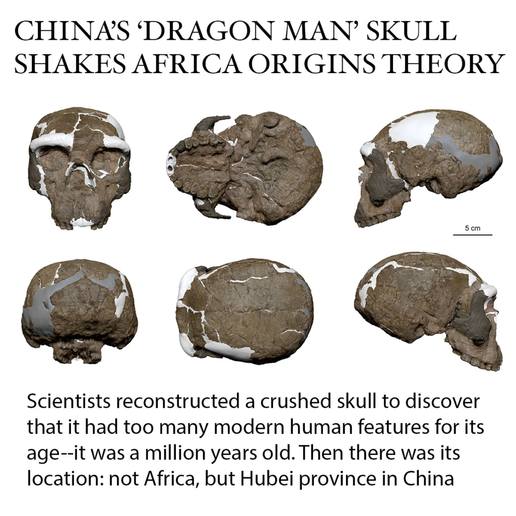 A More Complex Human Evolution Story