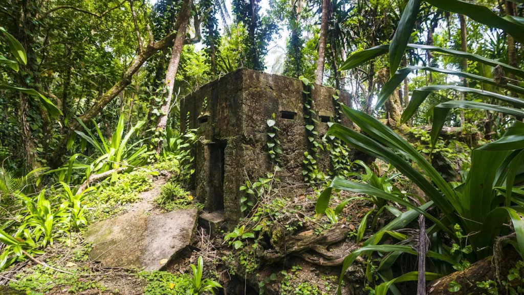 Why This Discovery Matters