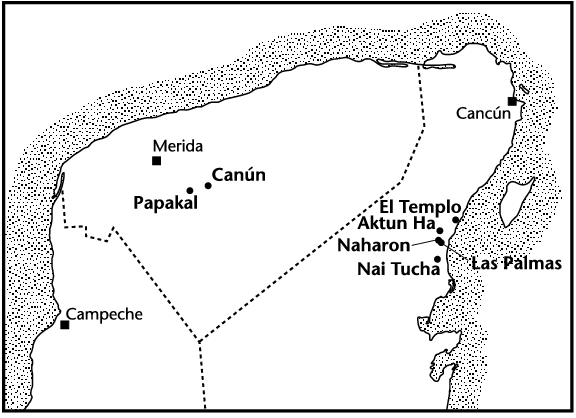 Underwater Cave Discovery